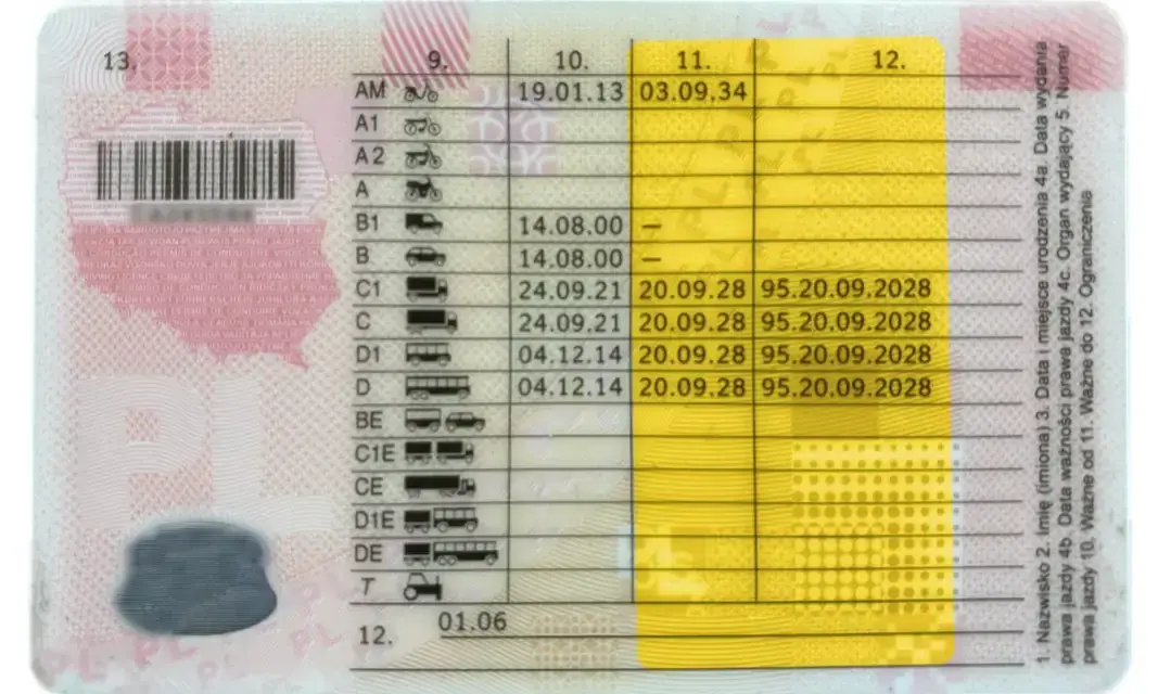 Badania na C+E: Koszty, terminy, przygotowanie. Wszystko, co musisz wiedzieć