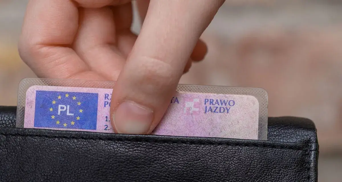 Dłoń wkłada polskie prawo jazdy do czarnego portfela.
