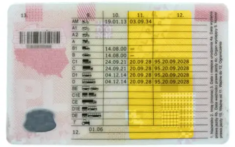 Badania na C+E: Koszty, terminy, przygotowanie. Wszystko, co musisz wiedzieć